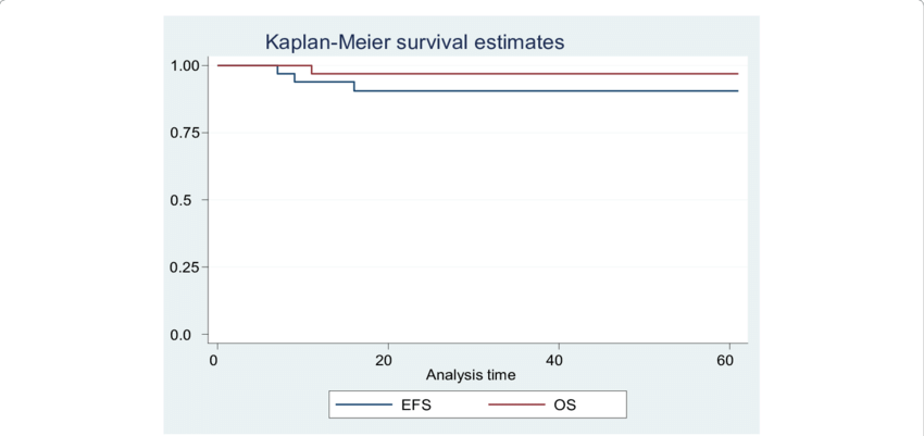 Treatment of Nephroblastoma in Developing Countries – Experience from a Single Center in Vietnam with NWTS 5 and SIOP 2001 Protocols